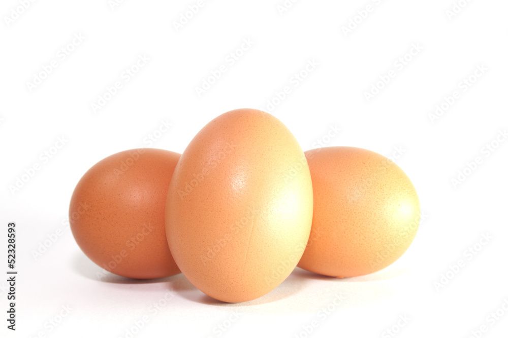 eggs on white background eggs on white background