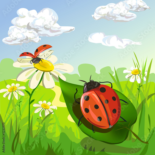 summer landscape with ladybug