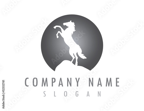 horse moon design