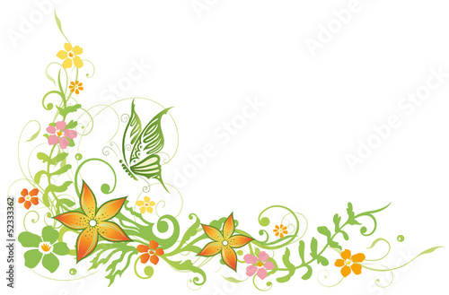 Blume, Blüte, Ranke, Sommer, Wiese, bunt