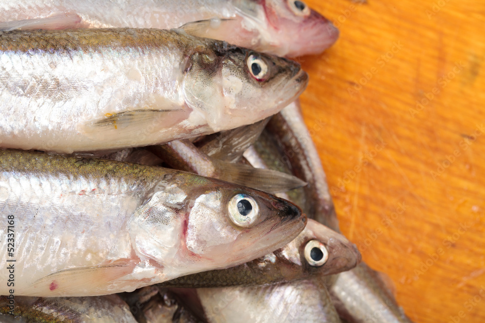Fresh smelts fish Fresh smelts fish