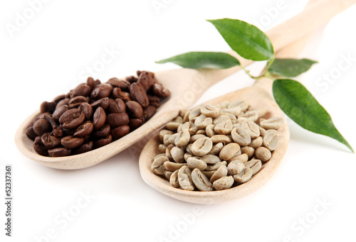 Green  and brown coffee beans in wooden spoons and leaves