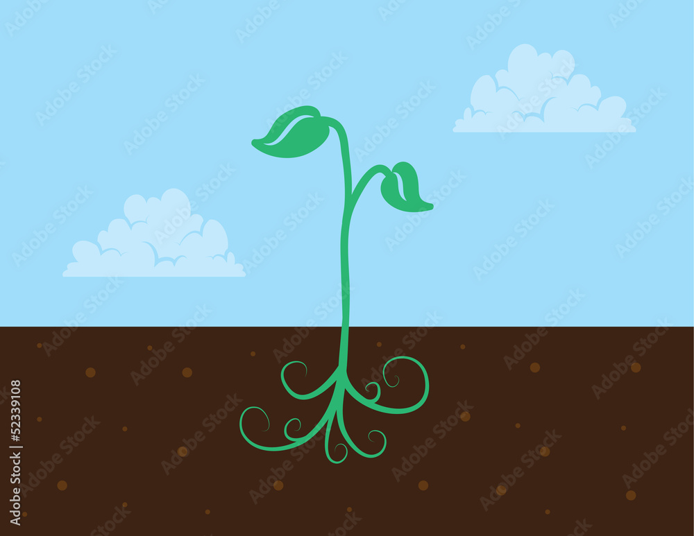 Small plant with roots in the dirt Small plant with roots in the dirt