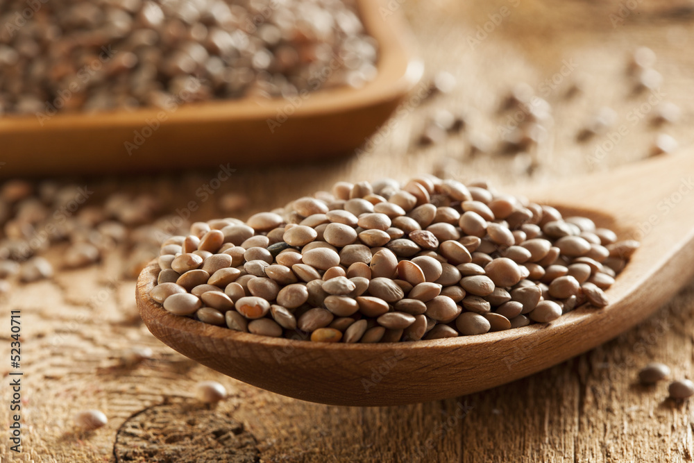 Dry Organic Brown Lentils Dry Organic Brown Lentils