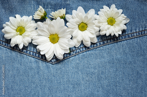 Asters on denim fabric