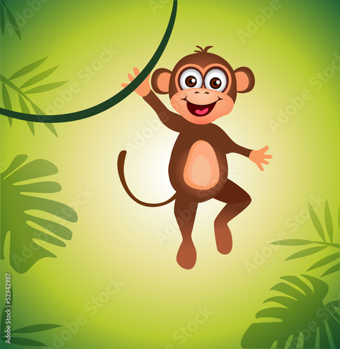 Monkey