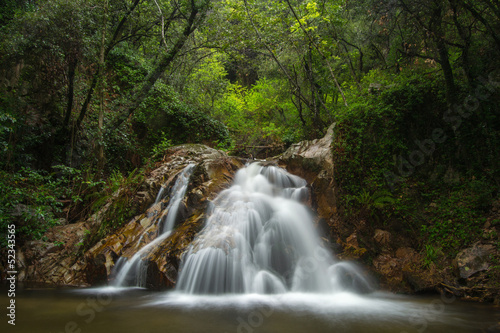 Cascada en el bosque verde