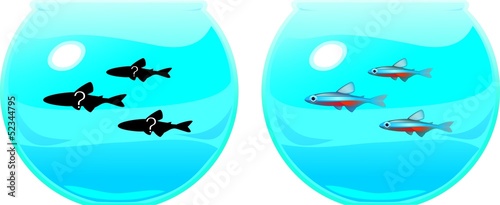 Fishbowl with a Cardinal tetra