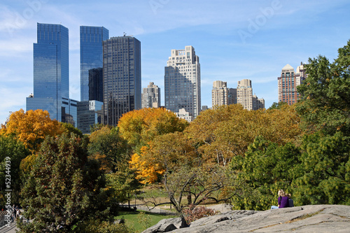 New York skyline and Central Park