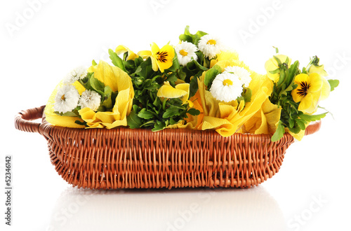 Beautiful spring flowers in basket isolated on white