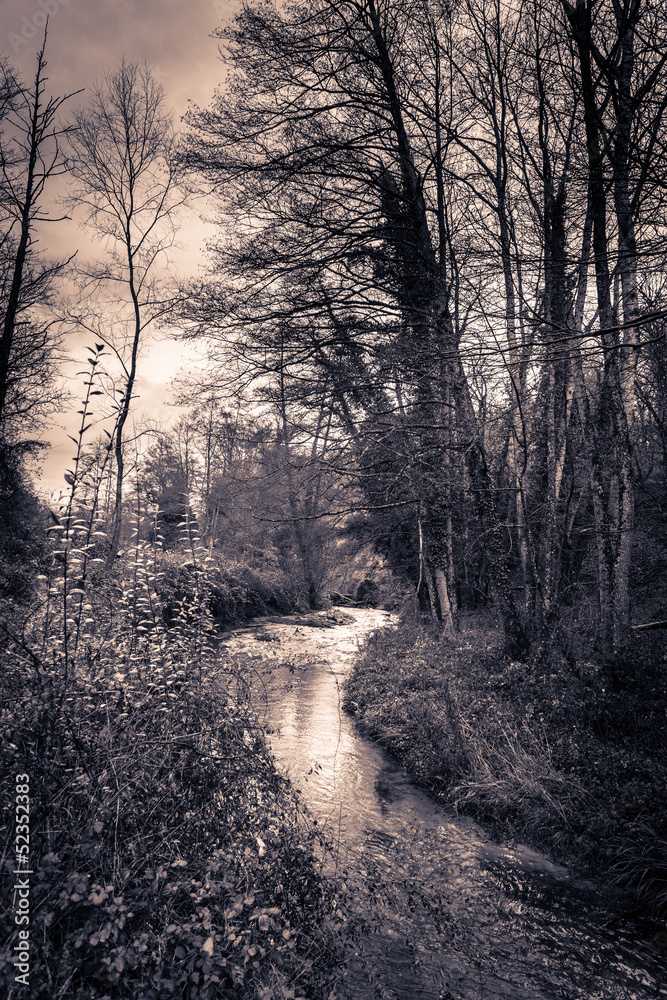 Fototapeta premium Gloomy torrent