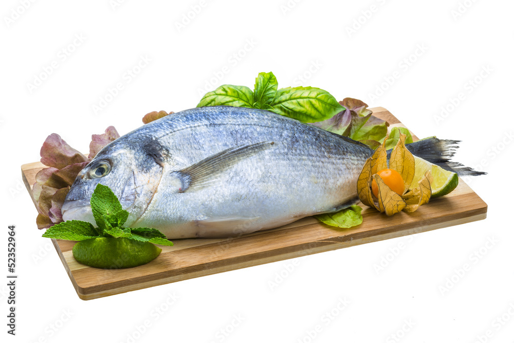 Fresh raw dorada Fresh raw dorada
