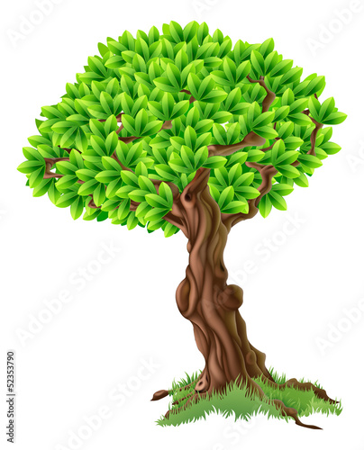 Tree Illustration