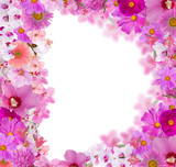frame from a lot of pink flowers