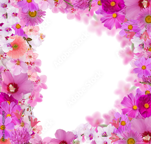 Fototapeta Naklejka Na Ścianę i Meble -  frame from a lot of pink flowers