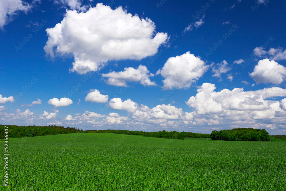 Fototapeta premium Fruehlingsandschaft mit Wolken