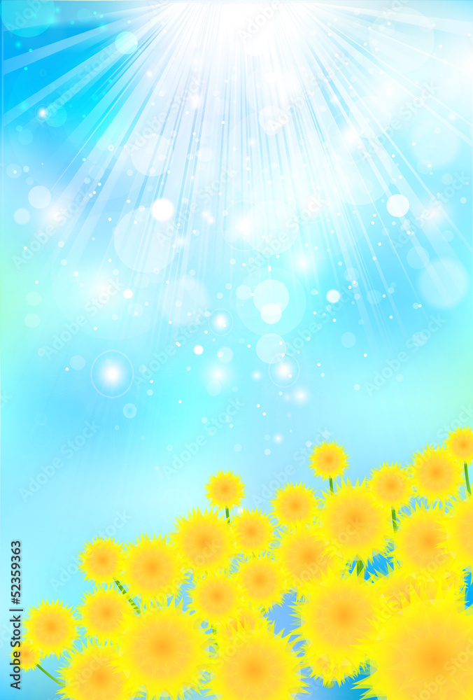 Obraz premium 向日葵 風景 背景