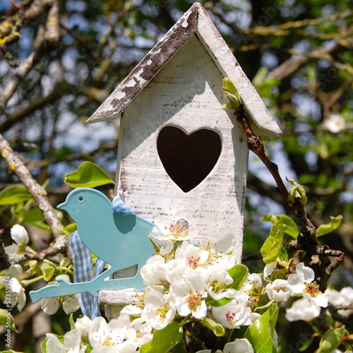 Grußkarte Frühling - Vogelh...