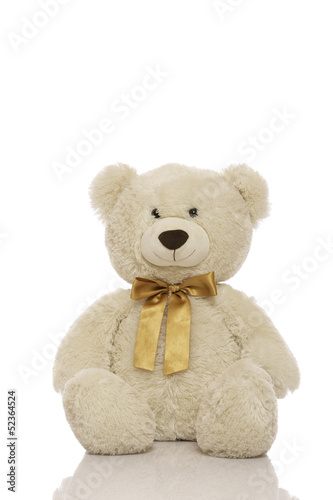 White teddy bear © doupix