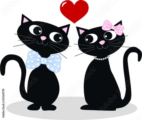 two cats in love