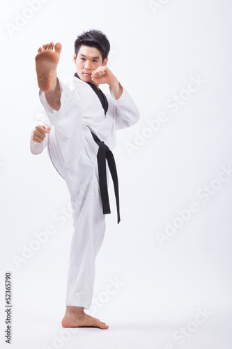 taekwondo action © darkkong