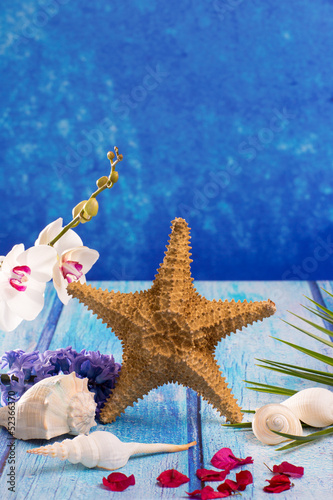 starfish seashells with hyacinth flower and white orchid