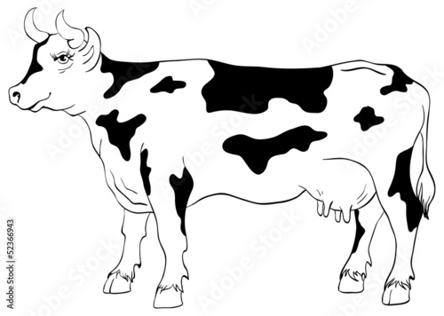 cow isolated on a white background