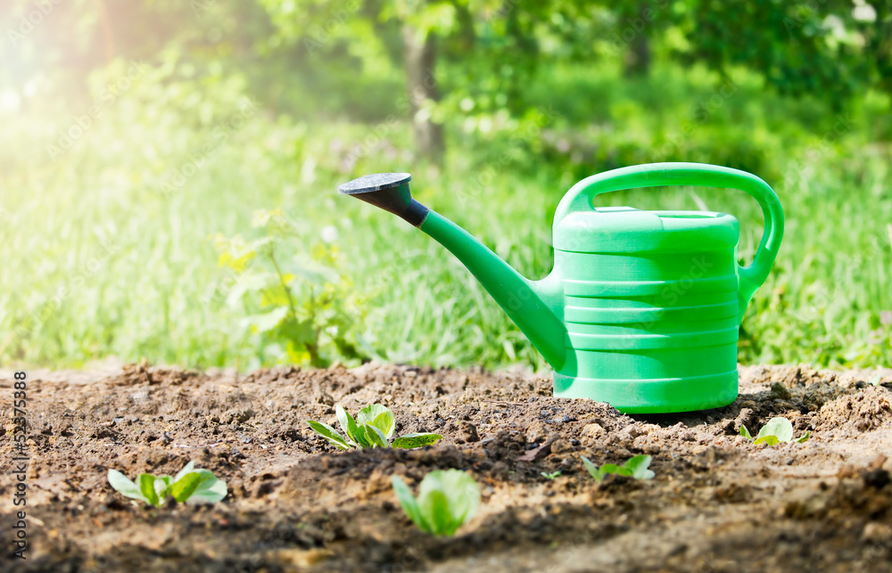 green watering can in garden on ground green watering can in garden on ground