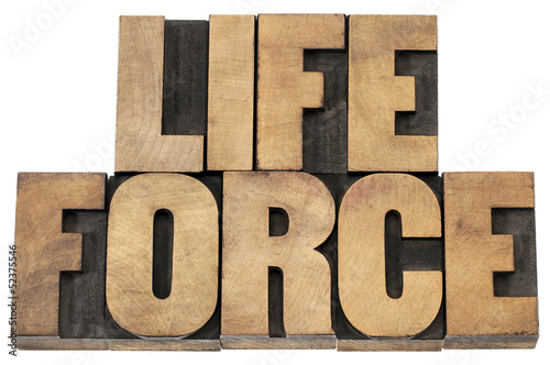 life force in wood type