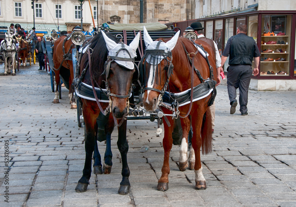 Traditional vienna fiaker (horse carriage) Traditional vienna fiaker (horse carriage)