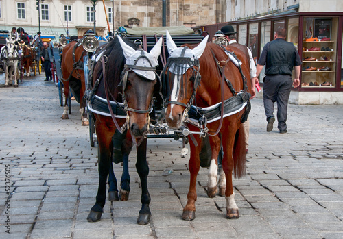 Traditional vienna fiaker (horse carriage)