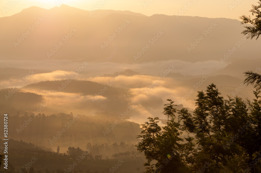 Fototapeta premium Morning Haze