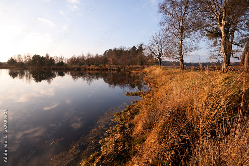 calm little wild lake in Dwingelderveld