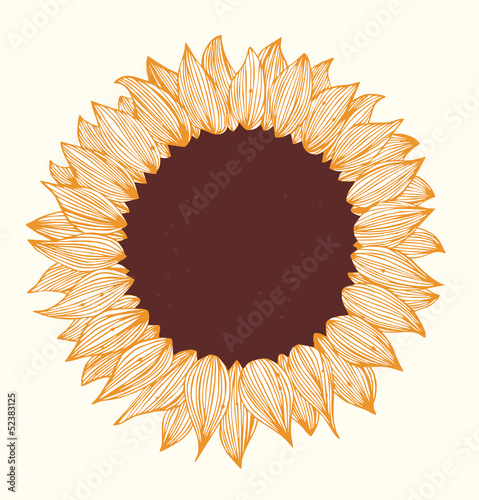 Fototapeta Naklejka Na Ścianę i Meble -  Sunflower. Hand drawn beautiful flower