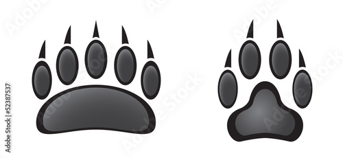 paw prints in black and white