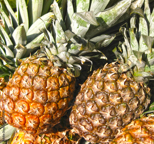 Fototapeta kuchenna pineapple