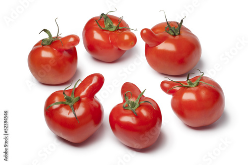 Group of nosy tomatoes