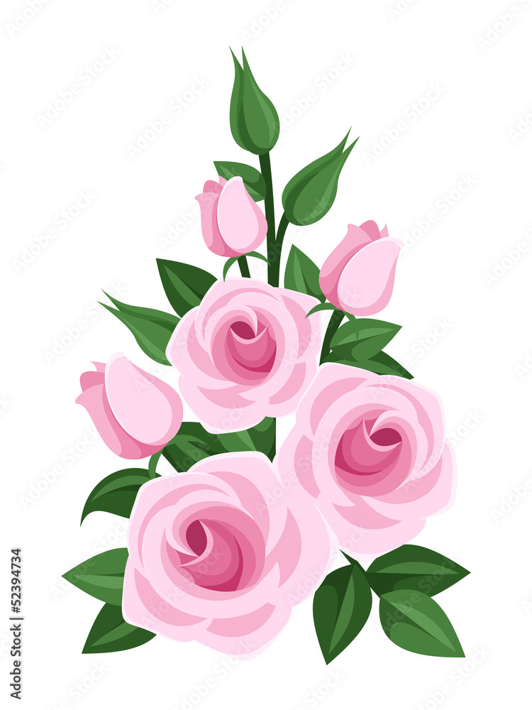 Branch of pink roses, buds and leaves. Vector illustration.