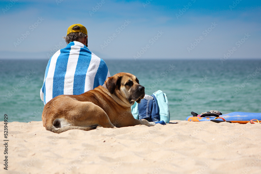 Mann und Hund am Strand mit Meerblick
