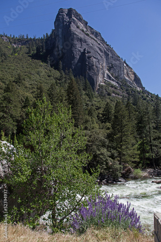 Yosemite National park photo
