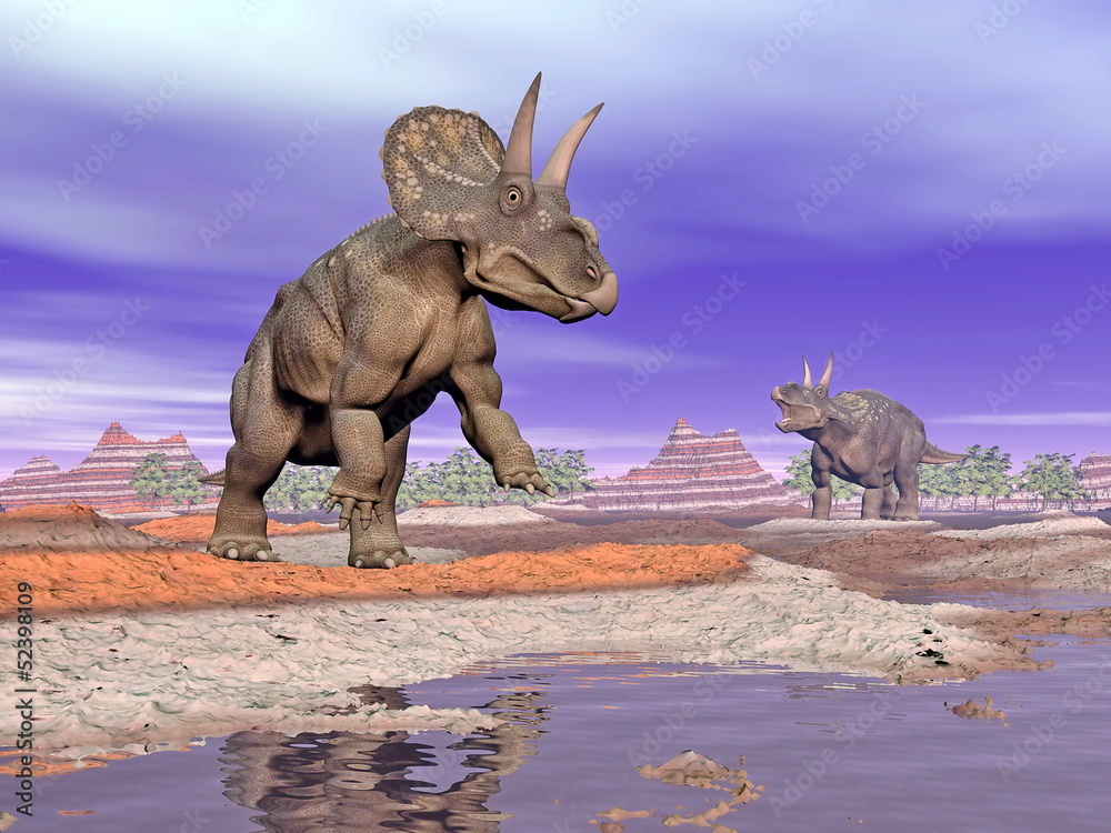 Fototapeta premium Diceratops dinosaurs in nature - 3D render