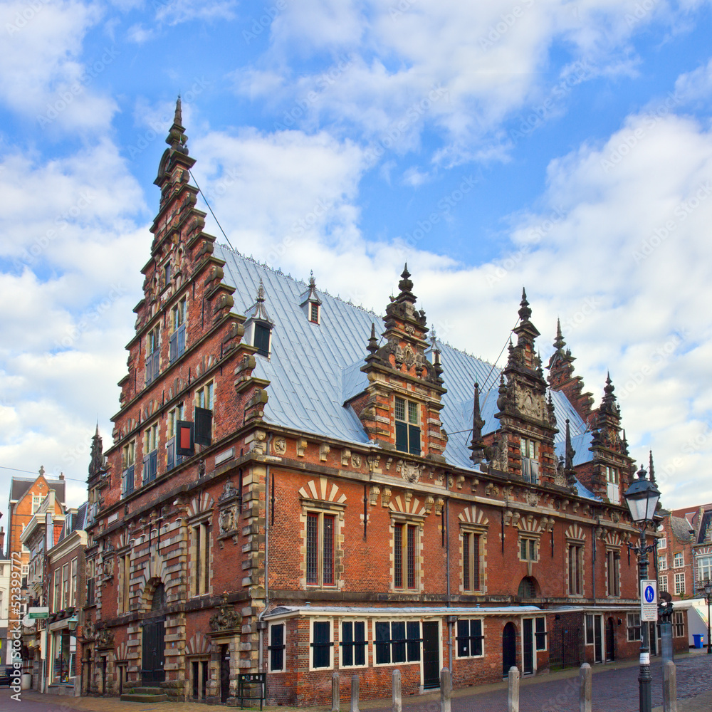 Fototapeta premium Vleeshal (Meat Hall), Haarlem