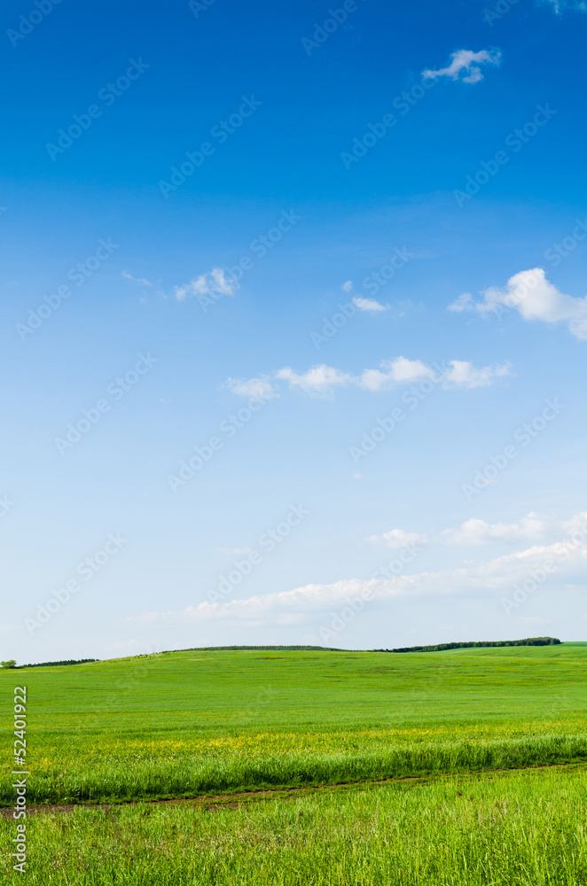 green field background