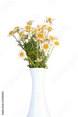 Beautiful wild camomiles in .vase, isolated on white