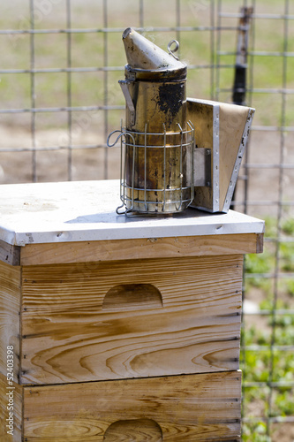 Beekeeping photo