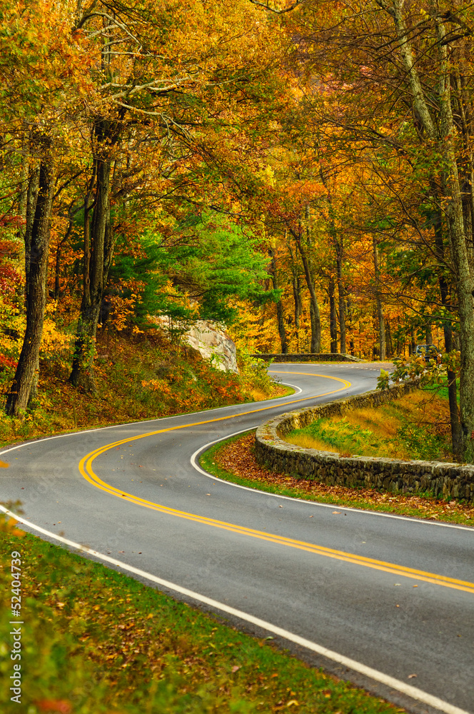 S-Curved Road On Skyline Drive