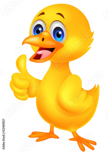 Cute baby chicken with thumb up
