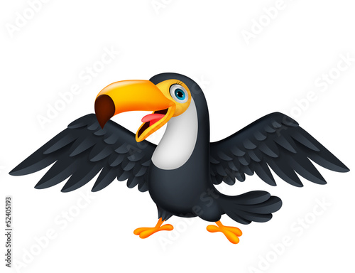 Cute toucan bird cartoon
