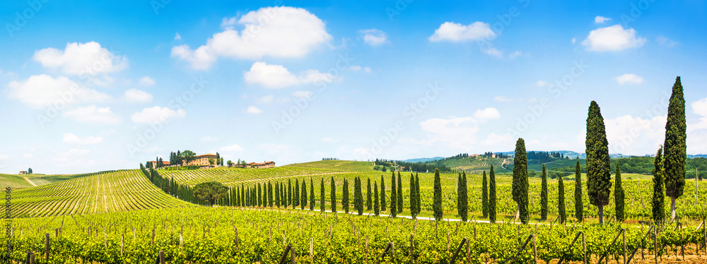 Fototapeta premium Piękny krajobraz z winnicy, Chianti, Toskania, Włochy