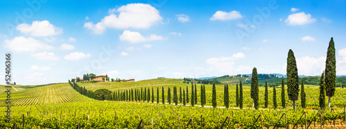 Beautiful landscape with vineyard, Chianti, Tuscany, Italy